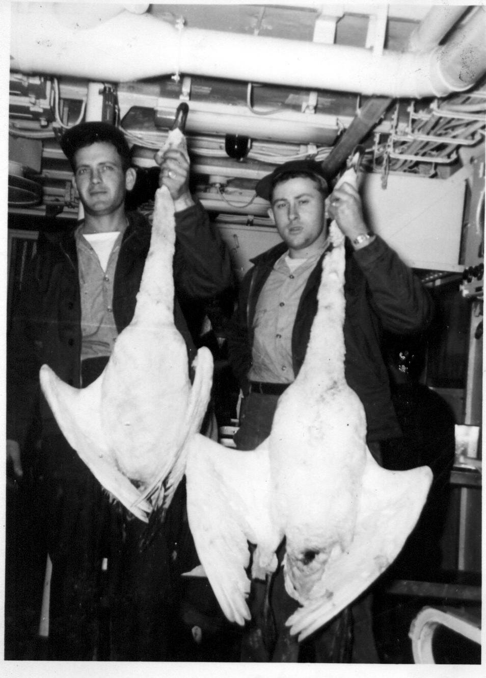 Left to right. John T. Hawley EN1. Right, Winings EM1 in the Surfbird mess hall with two of the geese they shot in Chinhae, Korea